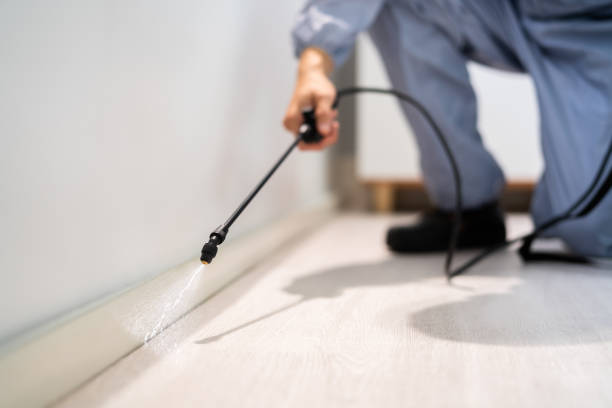 Licensed Pest Control service in Funny River, AK - Show Me Pest Control