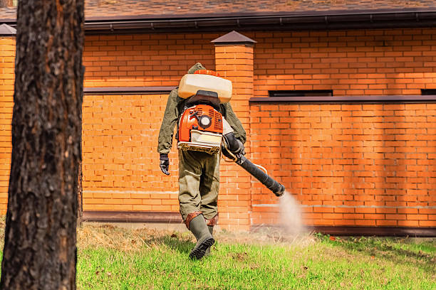 Bed Bug Clearance Verification and Documentation in Funny River